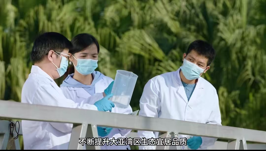 第二张图片